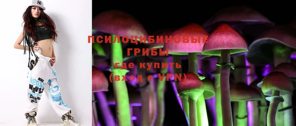ешки Дмитриев