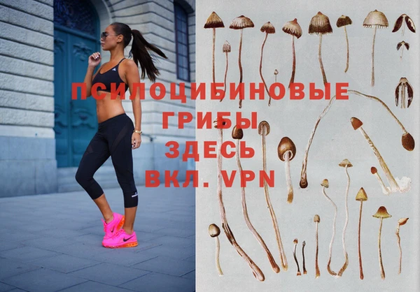 крисы Дмитровск