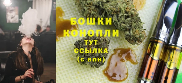 ешки Дмитриев